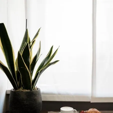 Ξενοδοχείο Lory 2*